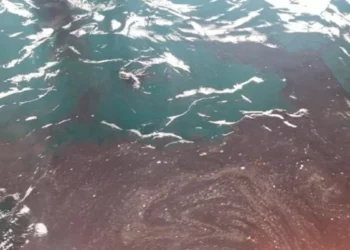 Instruyen sumario administrativo por mancha de petróleo en caleta El Membrillo