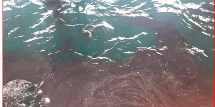 Instruyen sumario administrativo por mancha de petróleo en caleta El Membrillo