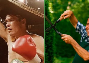 Proponen que memes de julio sean con Julio César Chávez