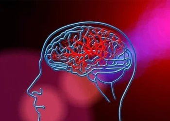 ¿Y si cuidar tu meollo hoy evitara un Alzheimer mañana?; lo dicen los expertos