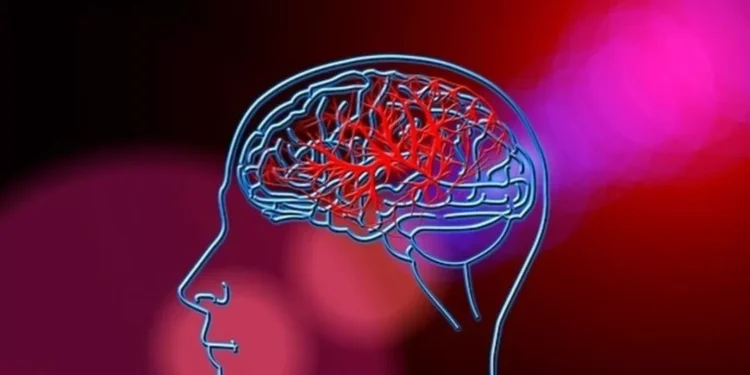 ¿Y si cuidar tu meollo hoy evitara un Alzheimer mañana?; lo dicen los expertos