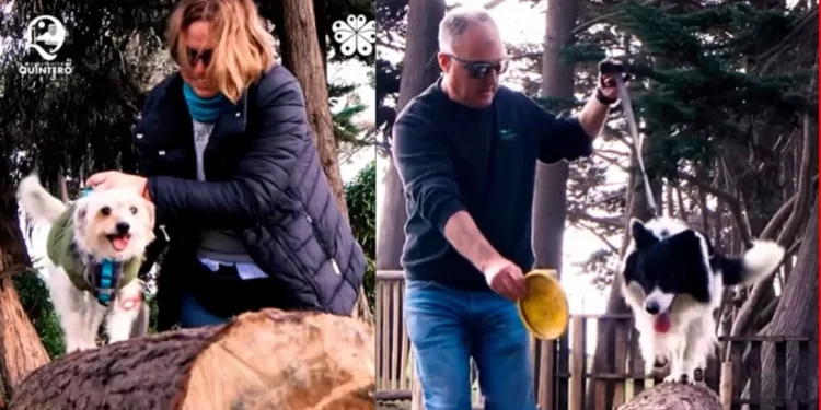 Quintero inaugurará Parque Canino en el Parque Municipal