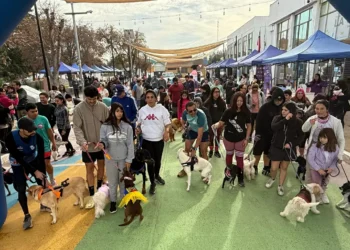 Más de 150 personas y sus mascotas participaron en la emotiva novillada Canina 2025 de La Cruz