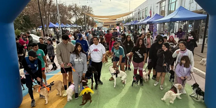 Más de 150 personas y sus mascotas participaron en la emotiva novillada Canina 2025 de La Cruz