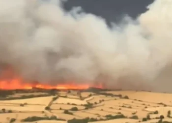 Más de 5.000 hectáreas quemadas en violentos incendios en España