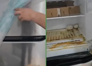 Pa’l desayuno: Liverpool entrega refri nuevo con todo y huevos podridos en el interior