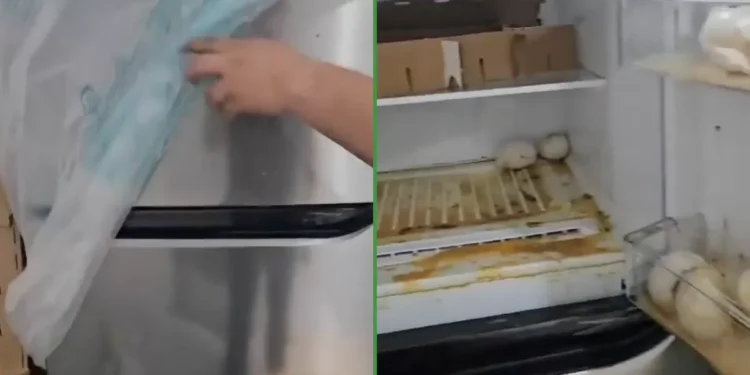 Pa’l desayuno: Liverpool entrega refri nuevo con todo y huevos podridos en el interior