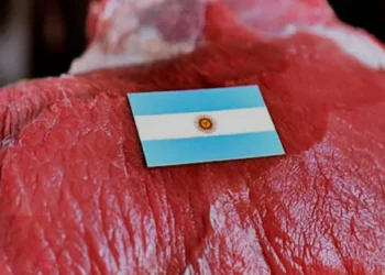 Chile suspende la importación de carne desde la Patagonia de Argentina