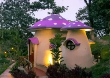 alto azul: Esto cuesta hospedarse en la aldea de los Pitufos en San Luis Potosí