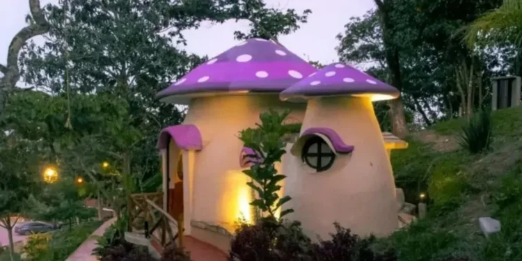 alto azul: Esto cuesta hospedarse en la aldea de los Pitufos en San Luis Potosí