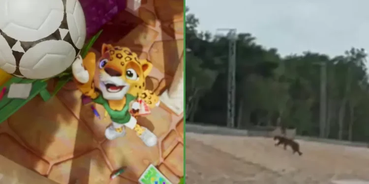 Gobierno promete no volver a acuchillar ni un árbol en honor a la nueva mascota del Mundial