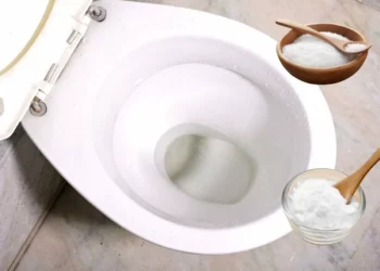 ¿Para qué sirve trasvasar sal y bicarbonato al inodoro? El truco que pocos conocen