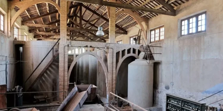 La cooperativa modernista de Aiguamúrcia encarrila su renacimiento