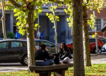 Unos jardines verdes