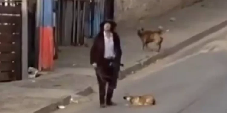 Denuncian caso de maltrato animal en Forestal Alto luego que hombre arrastrara a cría por la calle