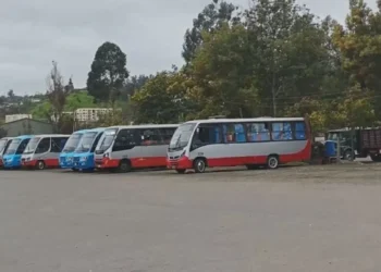 Comenzó el servicio de nuevas empresas de mudanza público en Quilpué y Villa Alemana