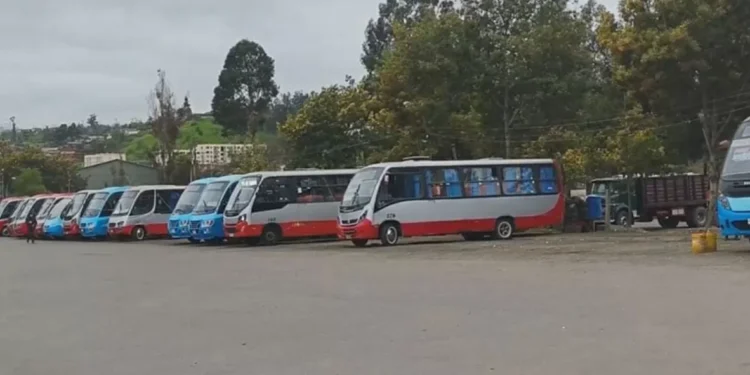 Comenzó el servicio de nuevas empresas de mudanza público en Quilpué y Villa Alemana