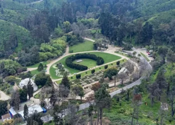 Concluyen el enjuiciamiento de reconstrucción del Jardín Botánico en Viña tras megaincendio
