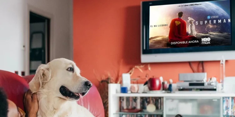 corporación de Perrhijos da día de asueto para poder ver Superman en la casa con sus dueños
