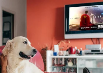 corporación de Perrhijos da día de asueto para poder ver Superman en la casa con sus dueños