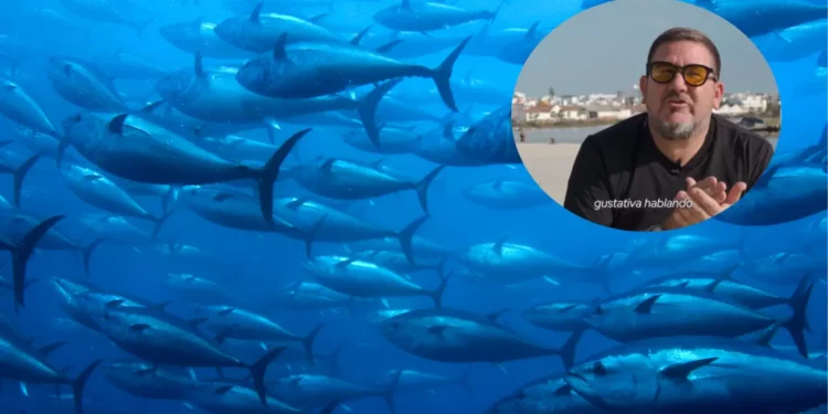 Dani García, cocinero: “Estoy desalentado de ver que, en muchas ocasiones, nadie explica la diferencia entre un atún rojo cimarrón de almadraba y un atún de granja”
