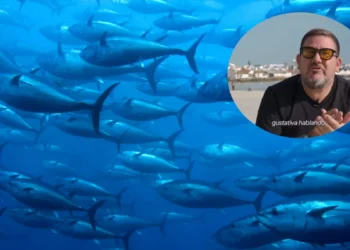 Dani García, cocinero: “Estoy desalentado de ver que, en muchas ocasiones, nadie explica la diferencia entre un atún rojo cimarrón de almadraba y un atún de granja”