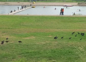 Parada y fonda en el Canal Olímpic de Castelldefels