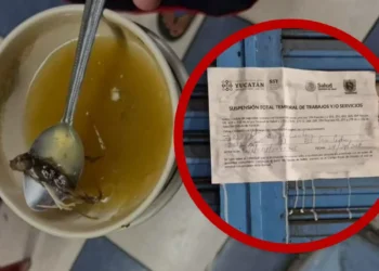 Menor termina hospitalizada tras almorzar caldo con ratón en restaurante de Yucatán