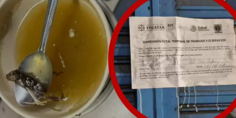 Menor termina hospitalizada tras almorzar caldo con ratón en restaurante de Yucatán