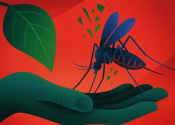 IPN desarrolla bioinsecticida contra el mosquito del dengue