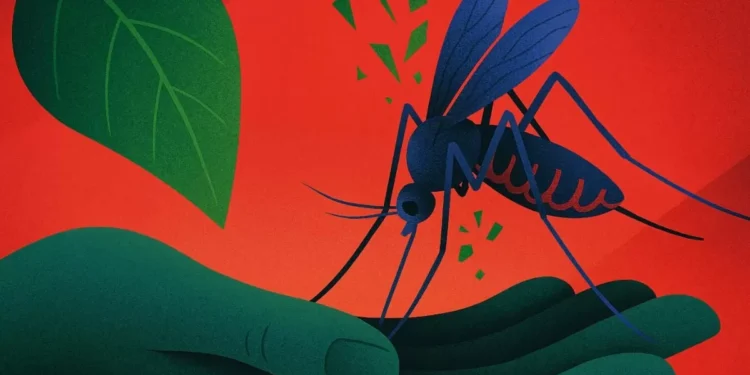 IPN desarrolla bioinsecticida contra el mosquito del dengue