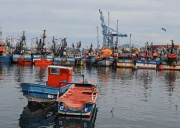Pescadores artesanales se capacitan para proteger la biodiversidad acuarela en la región