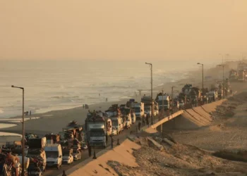 El fracaso del “nunca más”