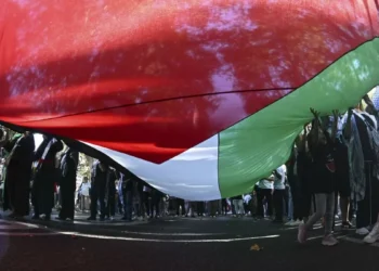 Paros parciales por Palestina