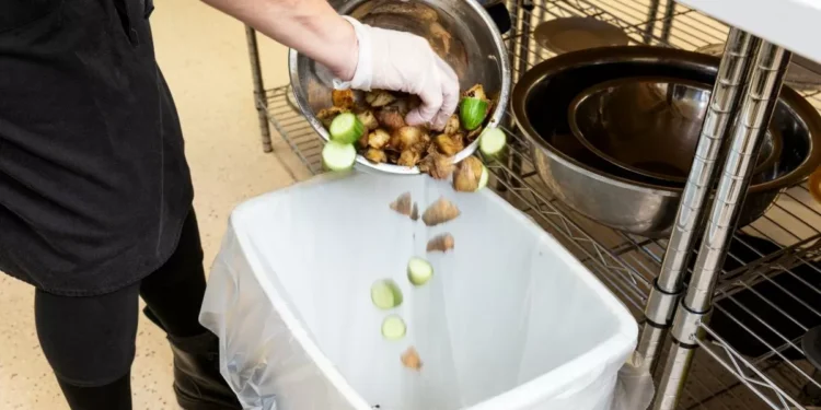 El desperdicio de alimentos en la UE alcanza los 130 kilos por habitante