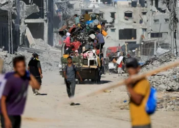 El éxito es que ya no se mata