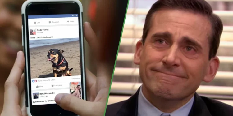 95% de las personas orgullosas del algoritmo de sus redes