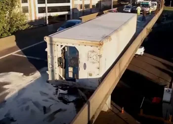 Caos de tránsito en la Autopista 25 de Mayo: volcó el artesa de un camión que llevaba 25 toneladas de gallinas congeladas