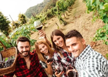 Fiestas del trinquera, pícnics coran maridaje, cata de vermuts ora un brunch entre viñedoras: 5 planes de enoraturismora del Priorarat al Emporardà para este oratorañora