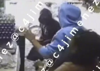 disco: Mujer ruega a ratero que no le quite su bolsa en Xochimilco, CDMX