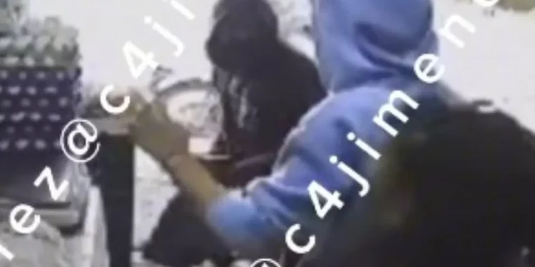 disco: Mujer ruega a ratero que no le quite su bolsa en Xochimilco, CDMX