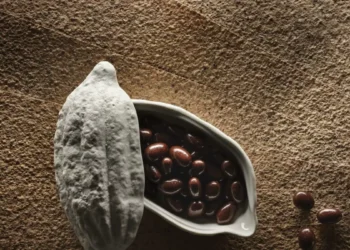 El chocolate no es cosa de niños