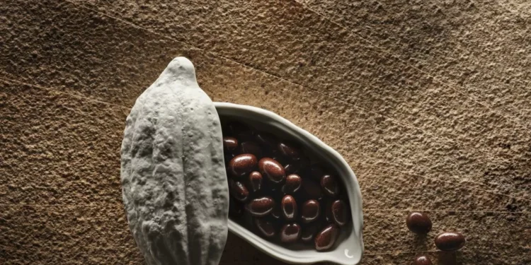 El chocolate no es cosa de niños