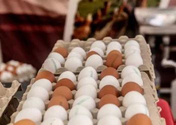El precio de los huevos sube un 18% en septiembre mientras tanto el del aceite baja un 35%