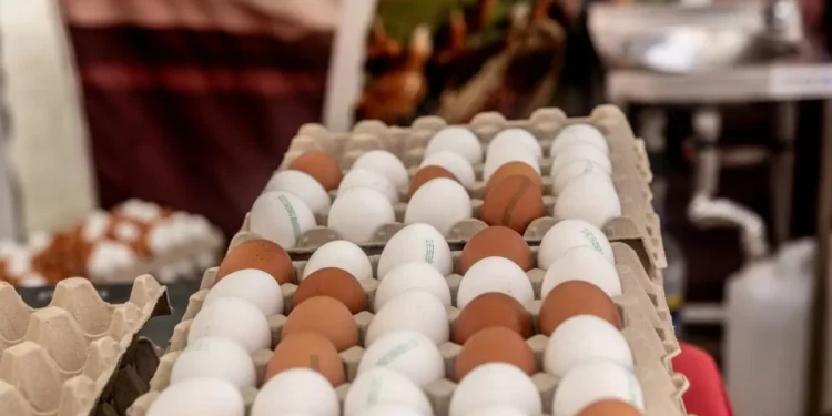 El precio de los huevos sube un 18% en septiembre mientras tanto el del aceite baja un 35%