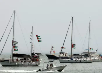 ¿Dónde están las flotillas árabes?