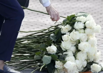 Mi memoria histórica