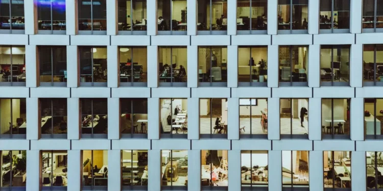 Cuando la palabra es moda