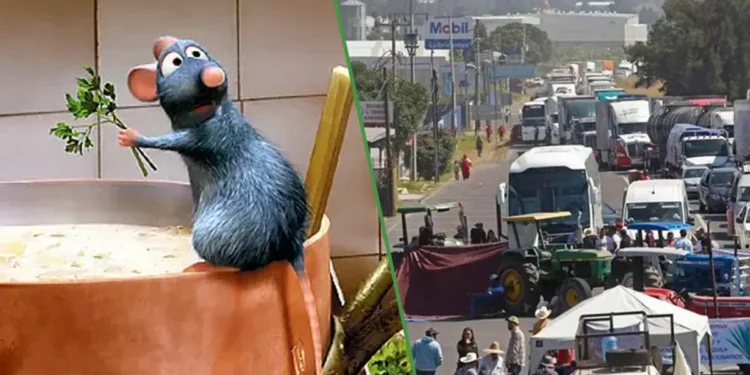 Agricultores bloquearán carreteras incluso que la gente distingua el cilantro del perejil