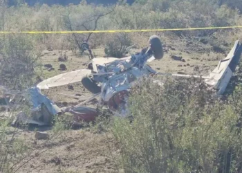 Avioneta se desploma en Santa Isabel, Chihuahua; reportan dos fallecidos | VIDEO